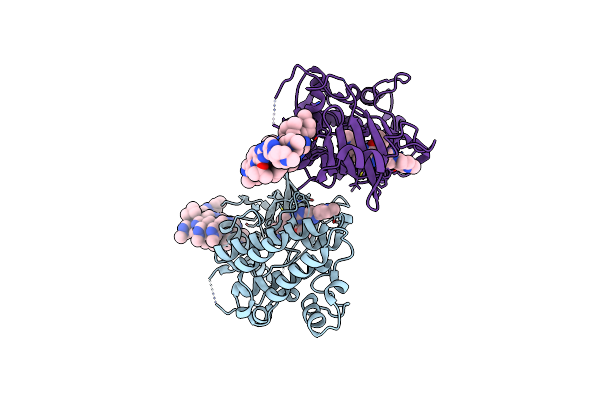 6TIA image