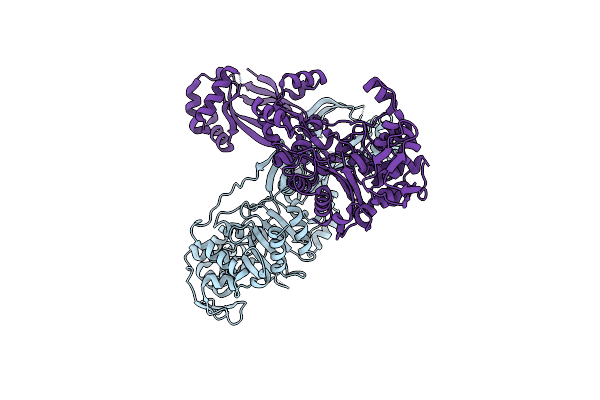 6TII image