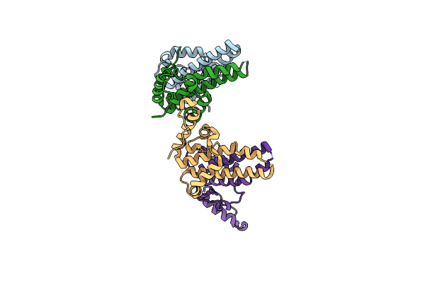 6TIK image