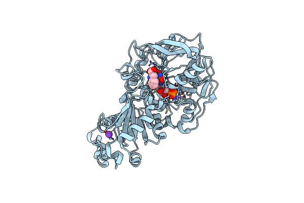 6TIN image