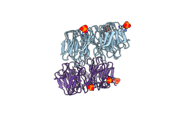 6TJI image