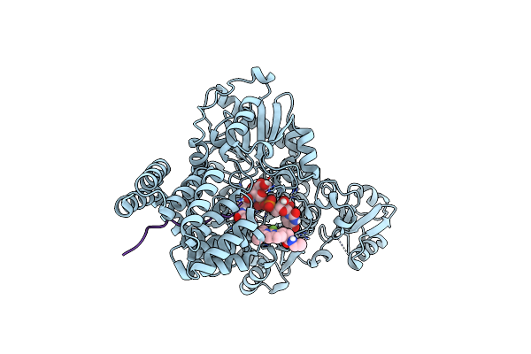 6TKA image