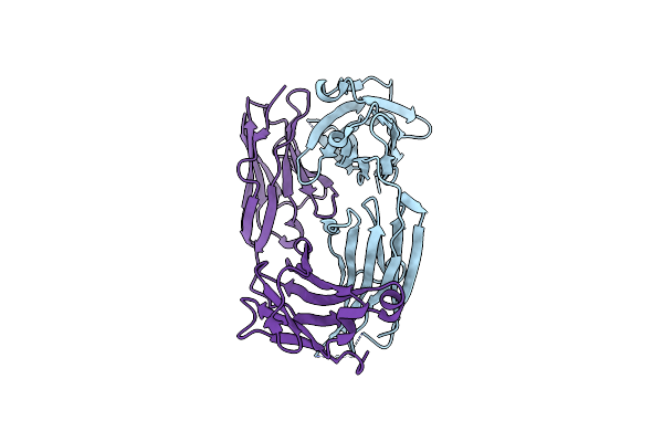 6TKC image