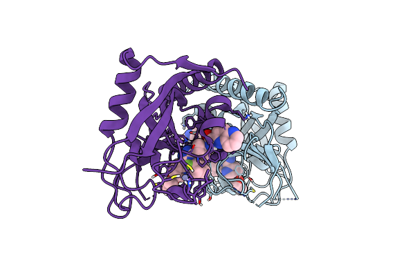 6TKR image
