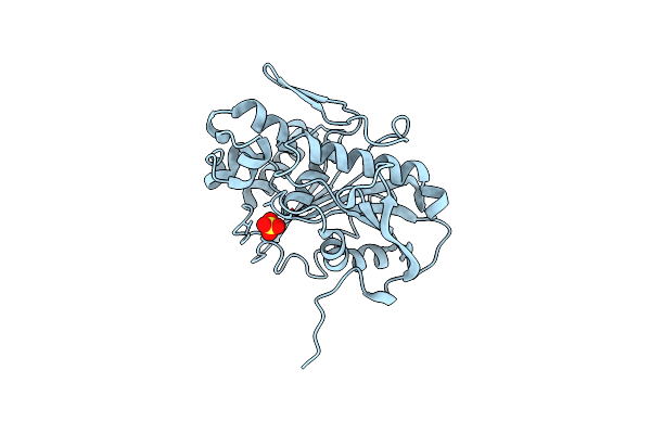 6TKX image
