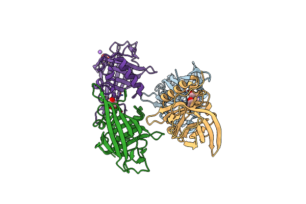 6TLB image