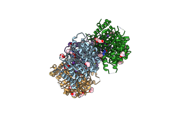 6TLD image
