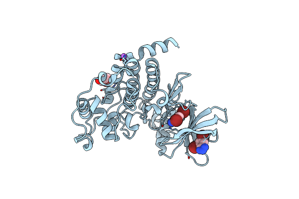 6TLS image
