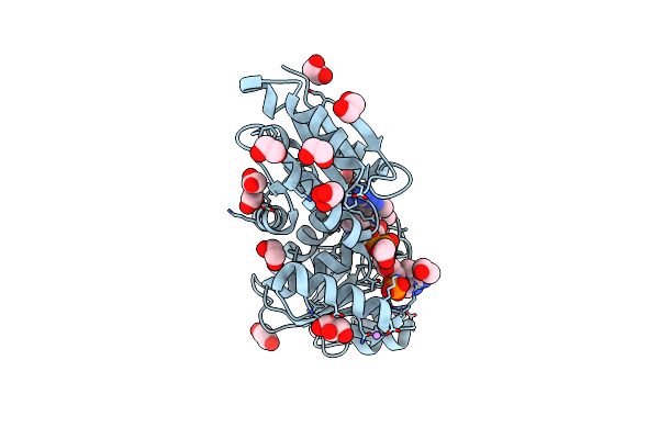 6TM3 image