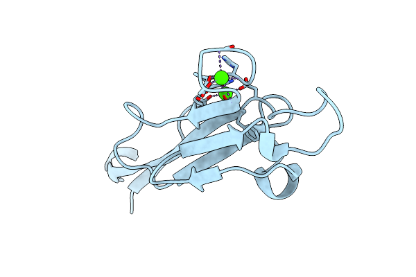 6TM6 image