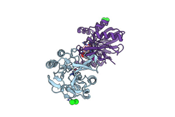6TMB image