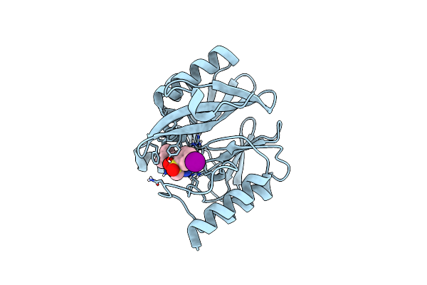 6TMC image