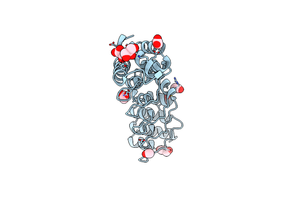 6TMD image