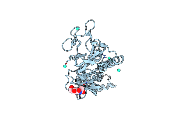 6TMR image