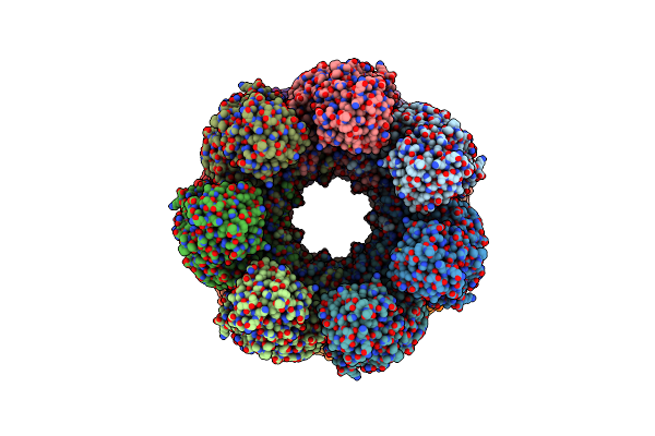 6TMW image