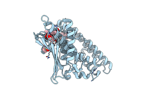 6TN2 image