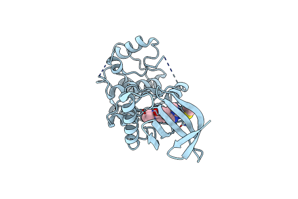 6TNC image