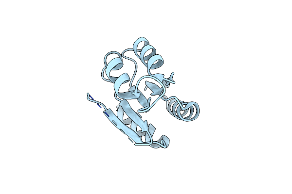 6TNE image