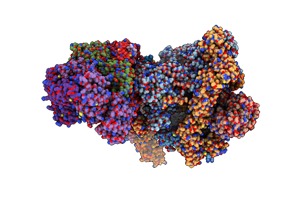 6TNT image