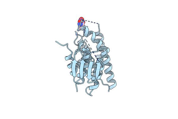 6TO3 image