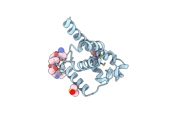 6TOG image