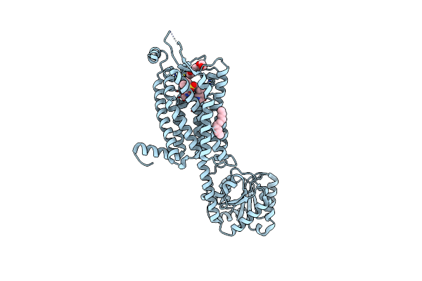6TPG image