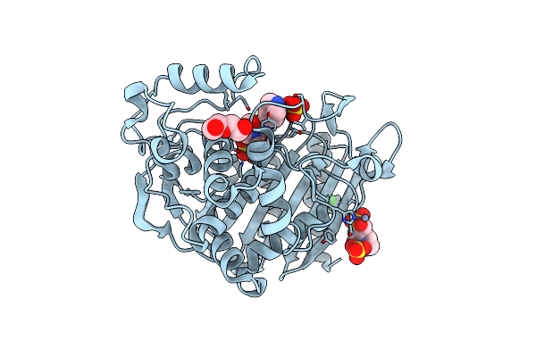 6TPM image