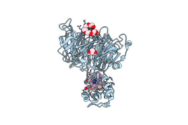 6TPO image