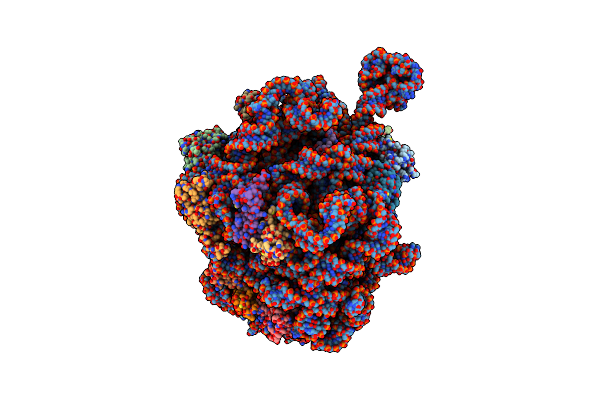 6TPQ image