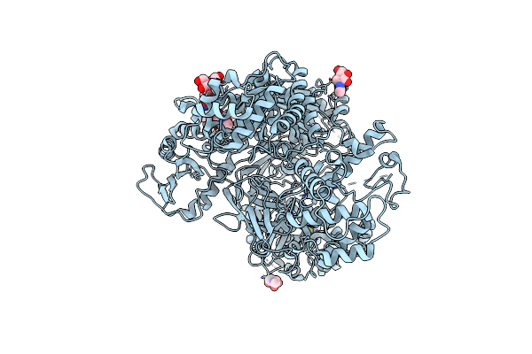6TRF image