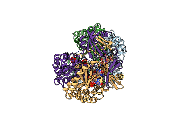 6TRQ image