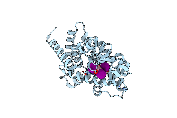6TSG image