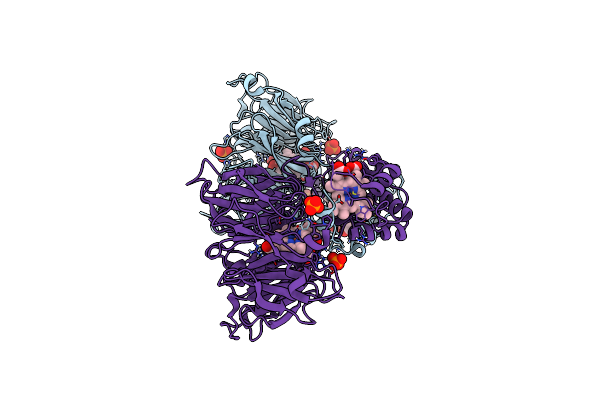 6TSI image