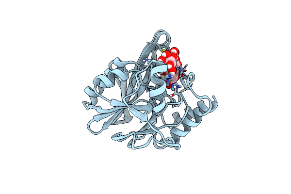6TTC image