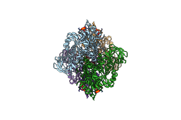 6TTF image