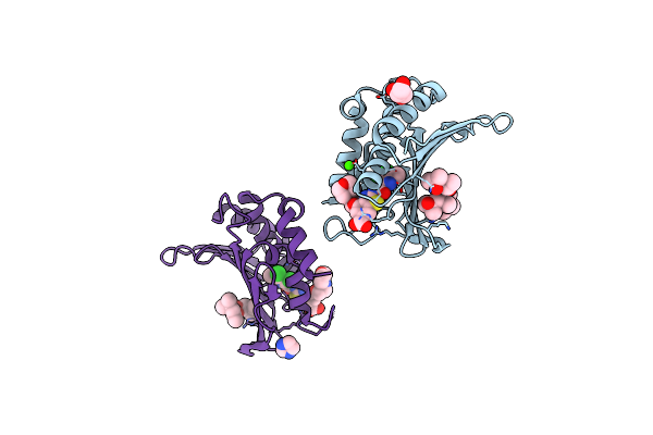 6TTG image