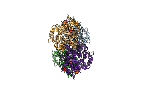 6TTH image