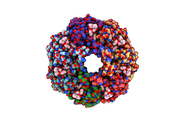 6TTZ image