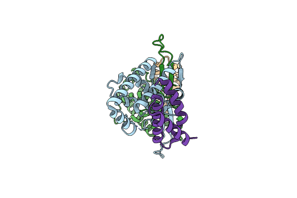 6TUN image