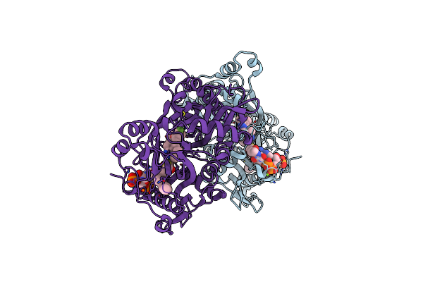 6TW8 image
