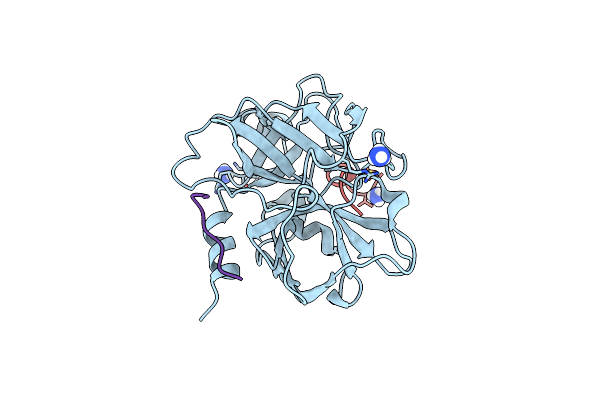 6TWB image
