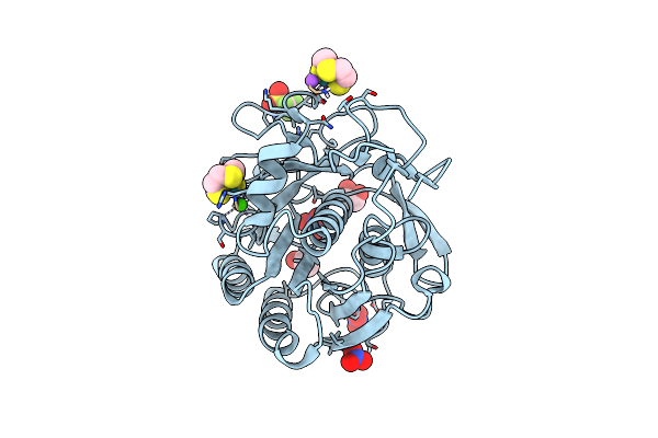 6TXG image