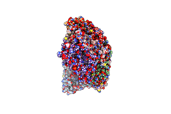 6TXN image