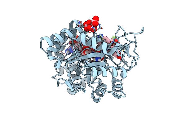6TXP image