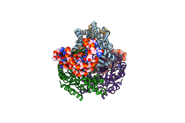 6TXR image