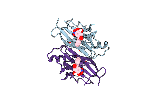 6TXV image