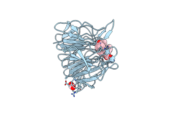 6TYP image