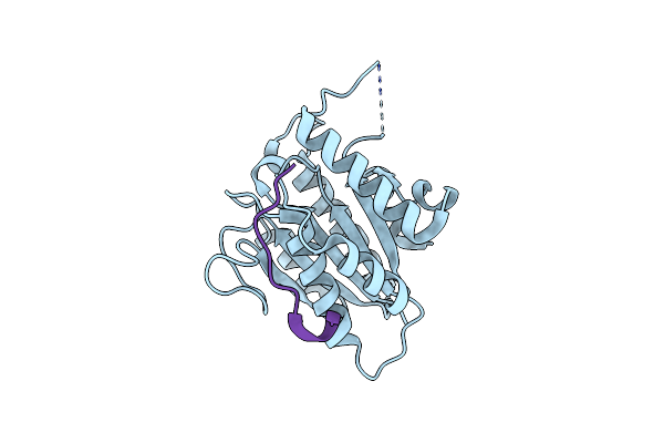 6TYV image