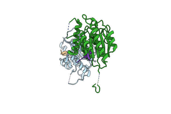 6TYX image