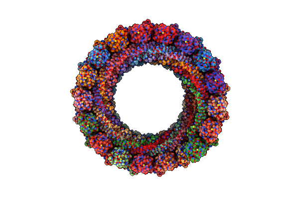 6TZ5 image